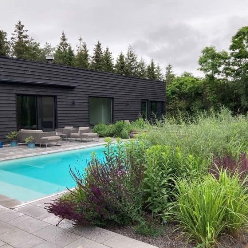 modern-natural-garden_hampshire_01