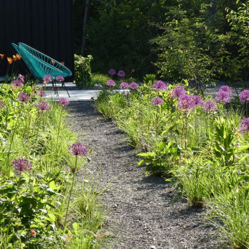 modern-natural-garden_hampshire_02
