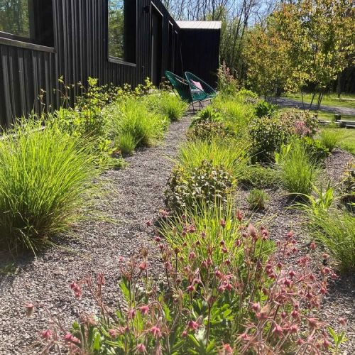 modern-natural-garden_hampshire_03