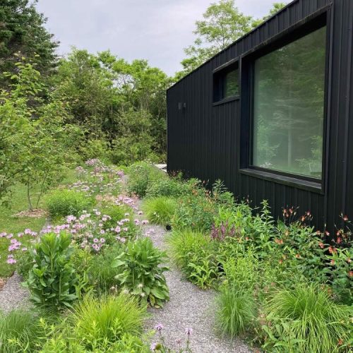 modern-natural-garden_hampshire_04