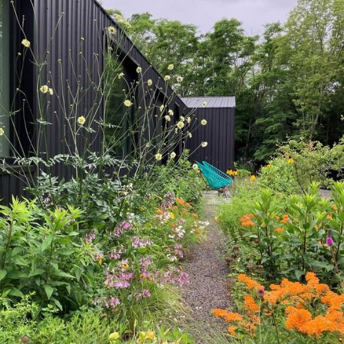 modern-natural-garden_hampshire_05