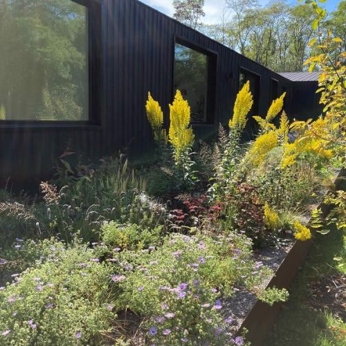 modern-natural-garden_hampshire_06