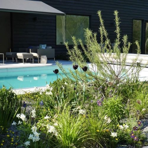 modern-natural-garden_hampshire_07