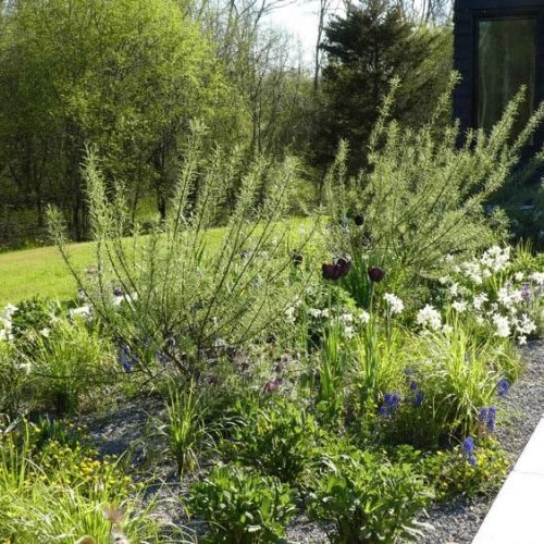 modern-natural-garden_hampshire_08