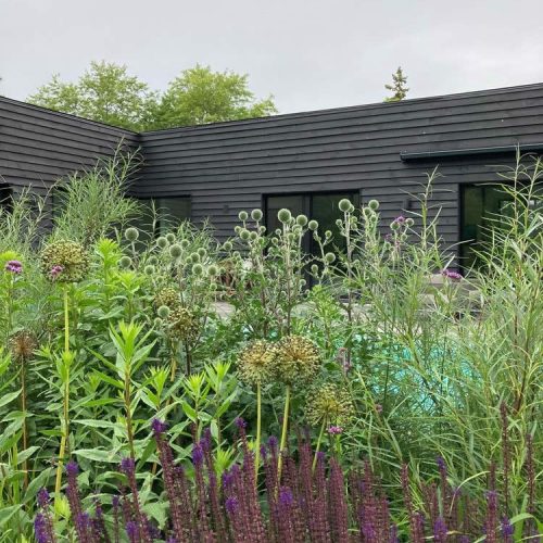 modern-natural-garden_hampshire_09